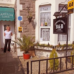 Camellia Lodge Guest House
